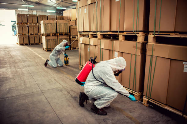 Best Best Pest Control Companies  in Tok, AK