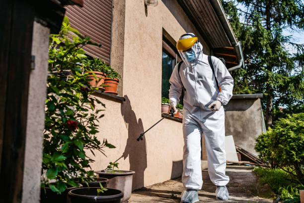 Best Termite Control Services  in Tok, AK