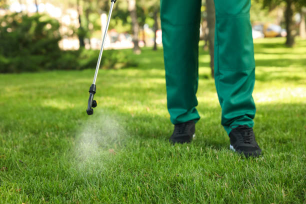 Best Residential Pest Control  in Tok, AK