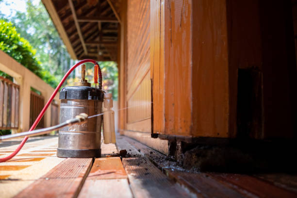 Best Best Pest Control Companies  in Tok, AK