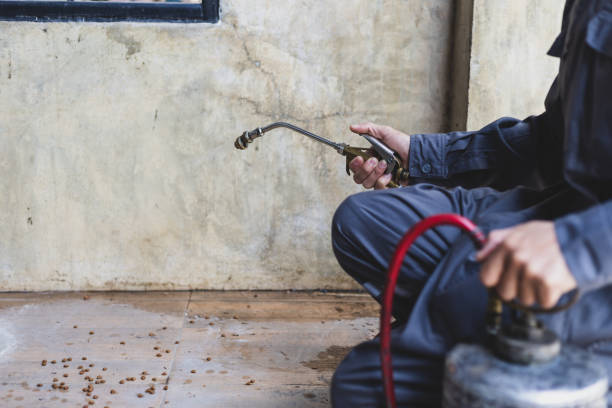 Best Pest Prevention Services  in Tok, AK