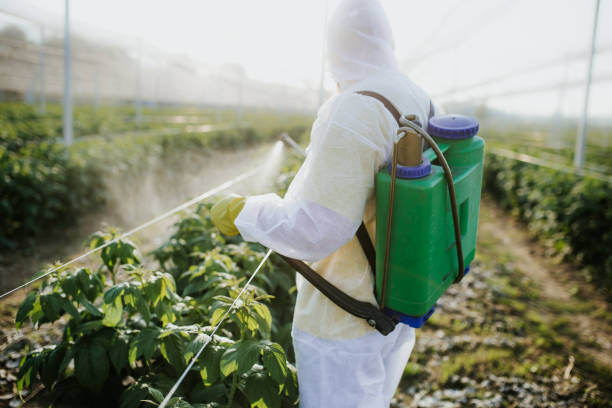 Best Pest Control for Homes  in Tok, AK